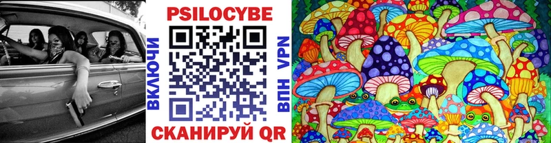 Псилоцибиновые грибы мицелий  хочу наркоту  Братск 
