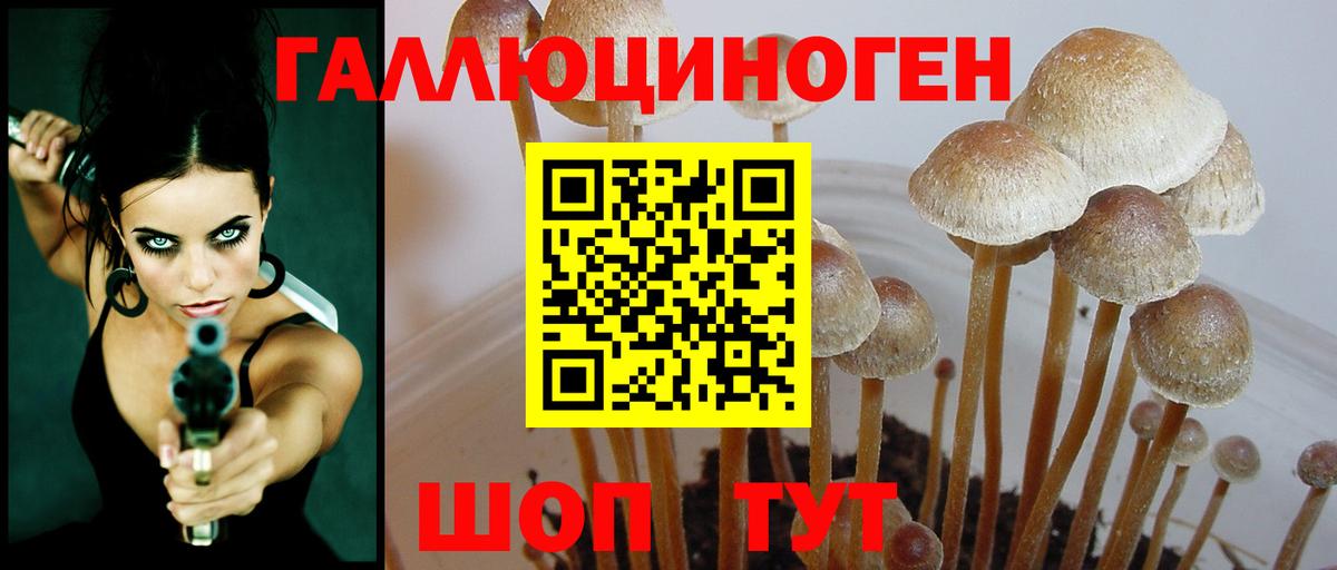 Братск  Галлюциногенные грибы Cubensis  Псилоцибиновые грибы Psilocybe  Вход с VPN 